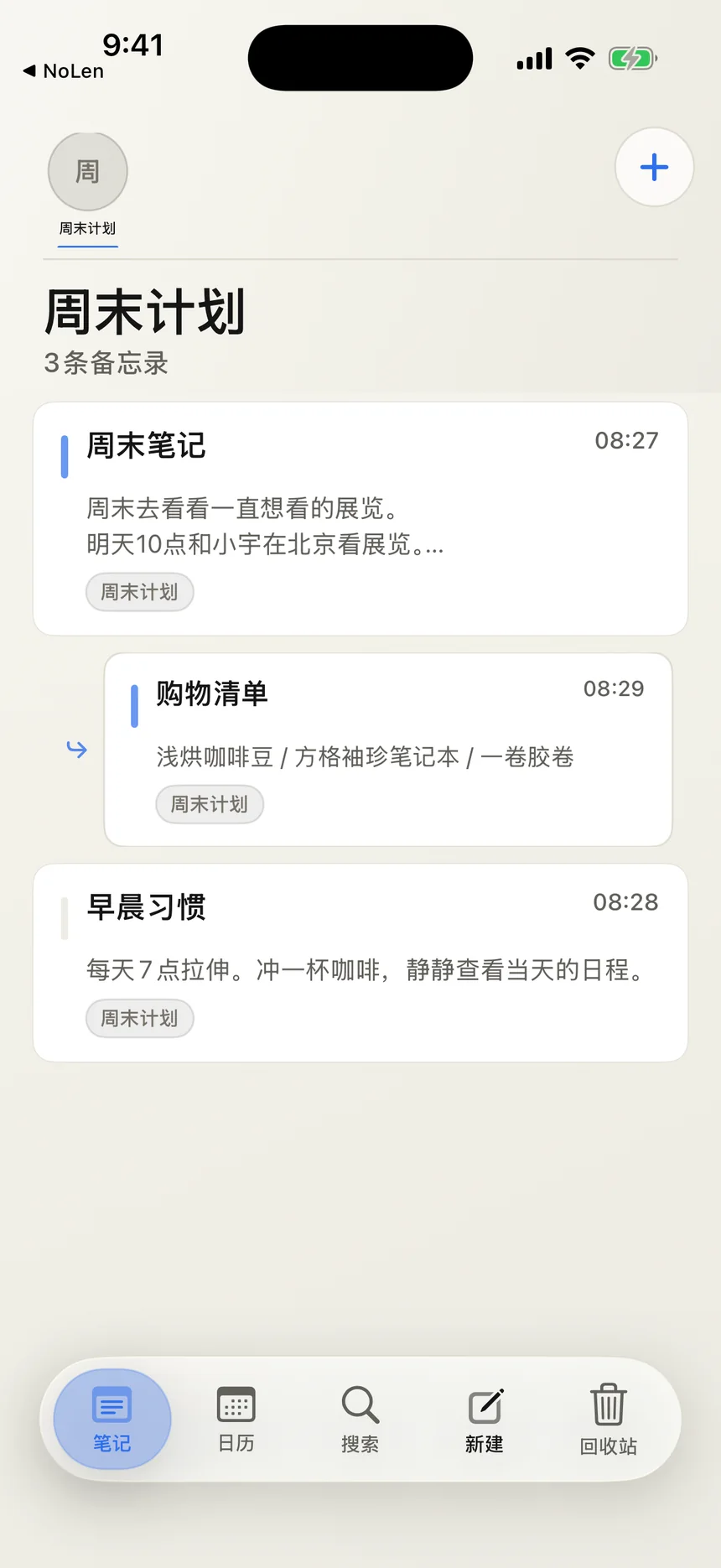 “周末计划”分类中整理了主笔记和“购物清单”子笔记的界面
